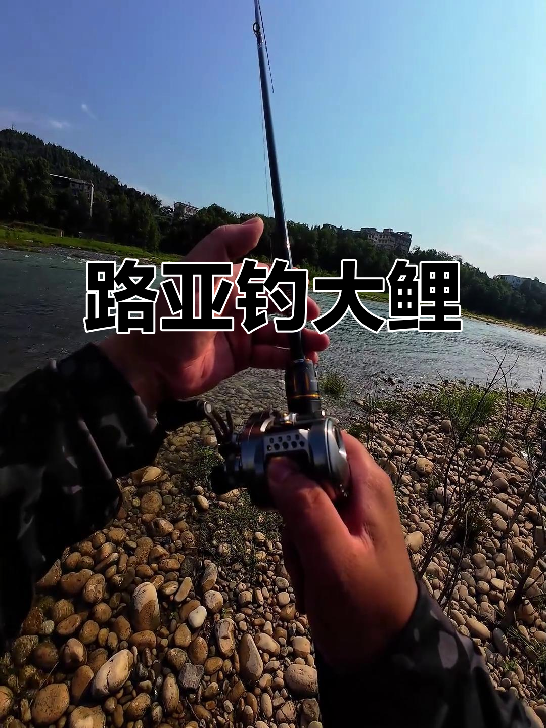 如何用路亚钓鲤鱼视频(如何用路亚钓鲤鱼视频教程)