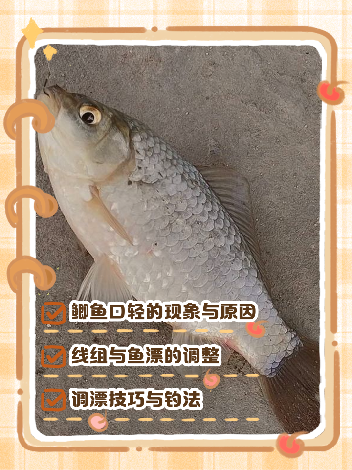 钓鲫鱼找口技巧(钓鲫鱼怎么找鱼窝)