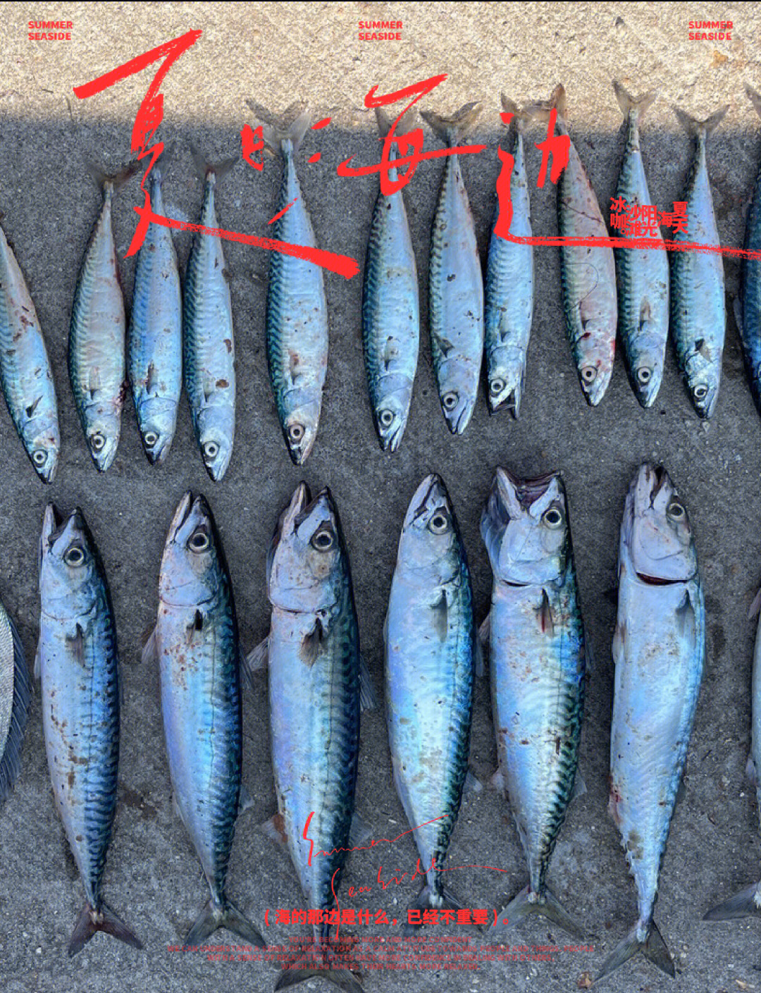 码头海钓钓几米(码头海钓多少米的竿合适)