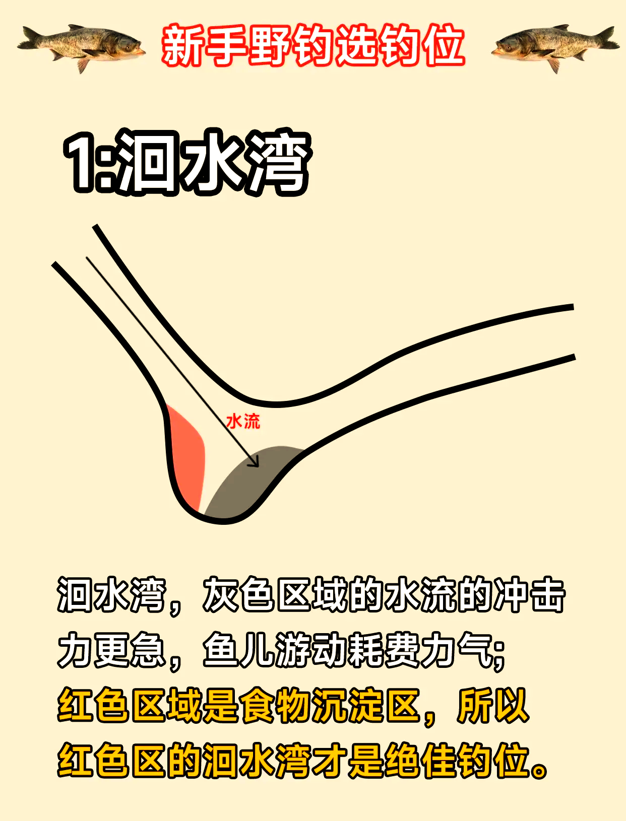 急流打窝技巧(急流钓大鱼)