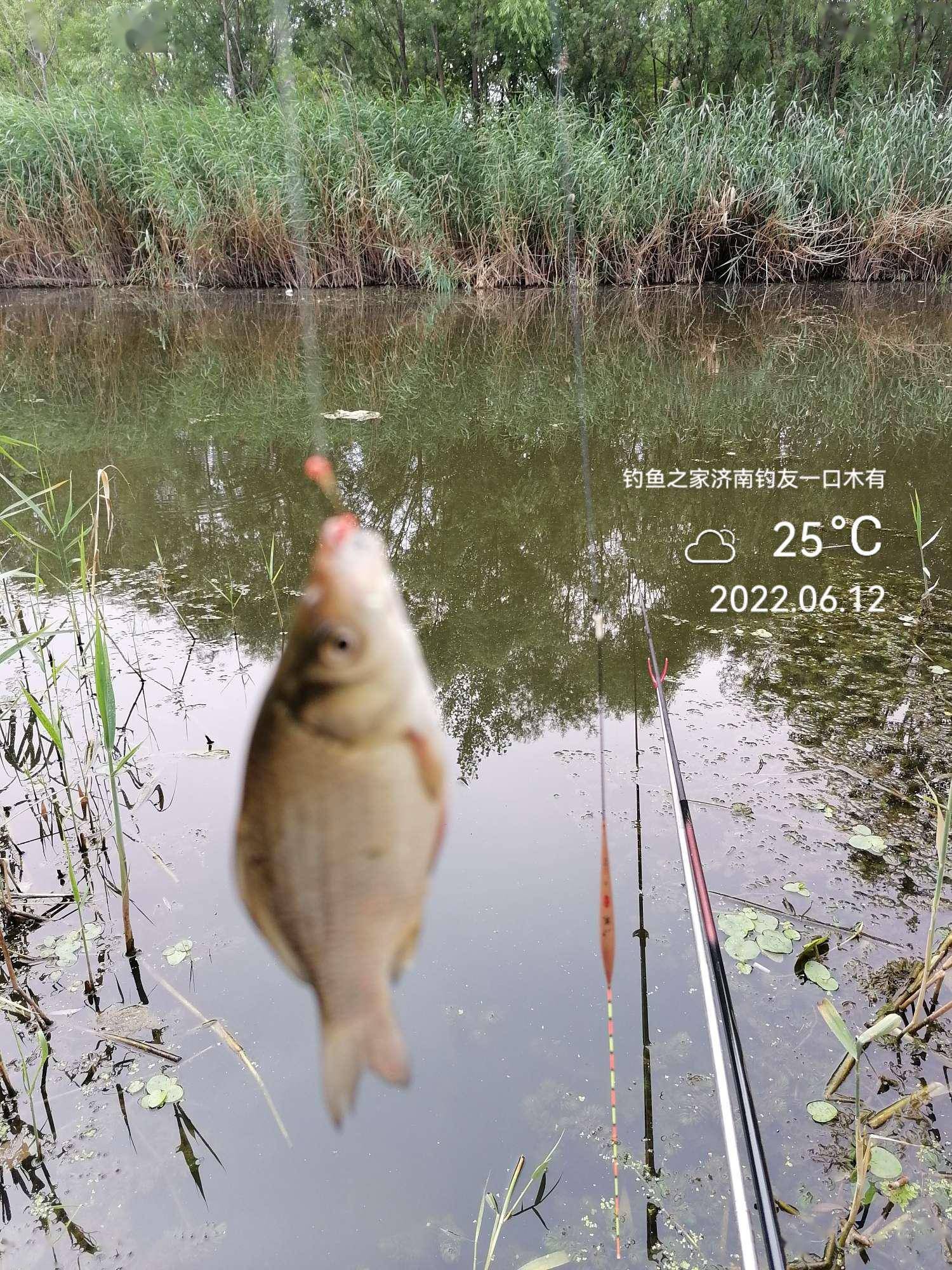 深秋饵料提竿频率(深秋饵料提竿频率高吗)