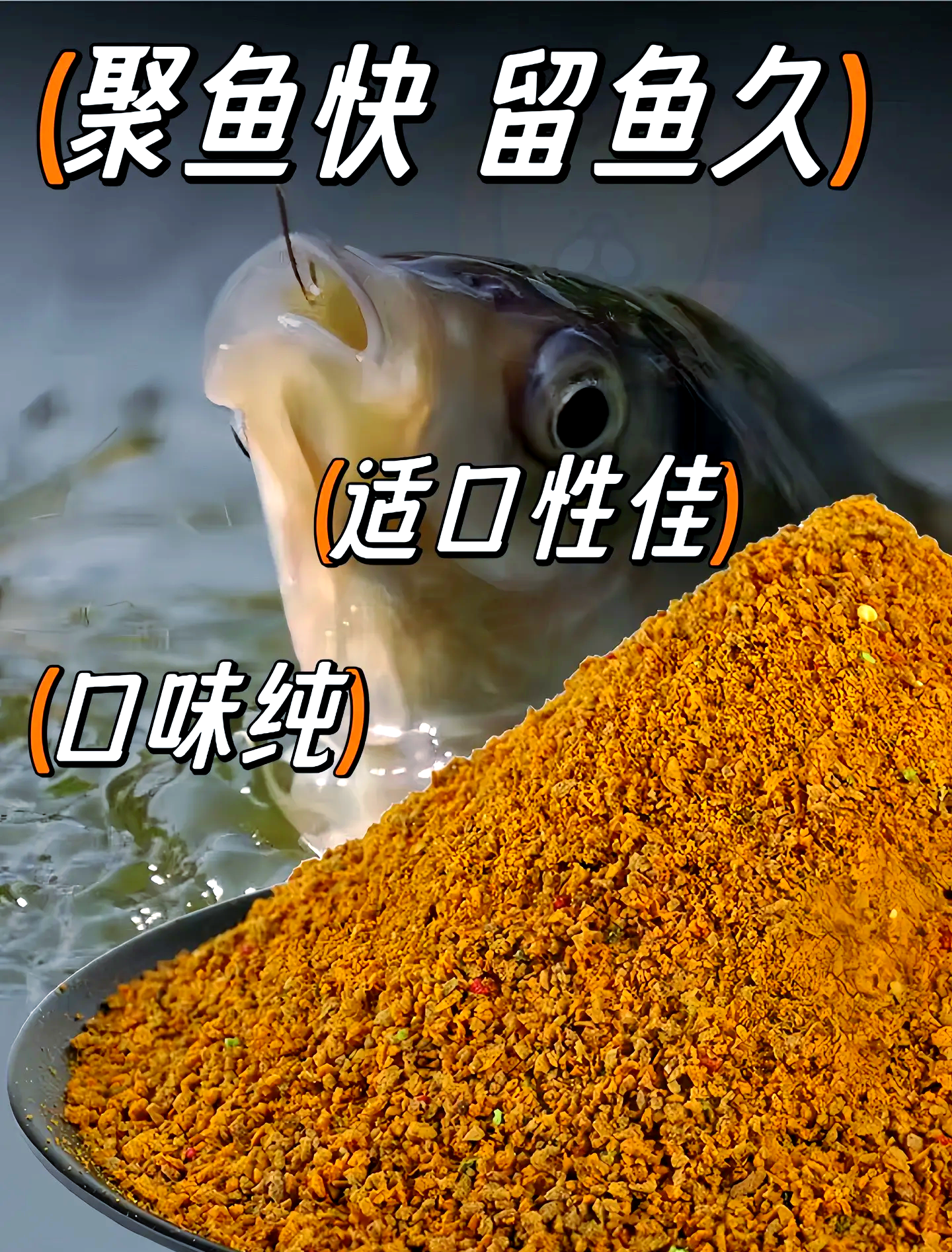 水库钓鲤鱼商品饵料配方(水库钓鲤鱼用什么饵料最好钓)