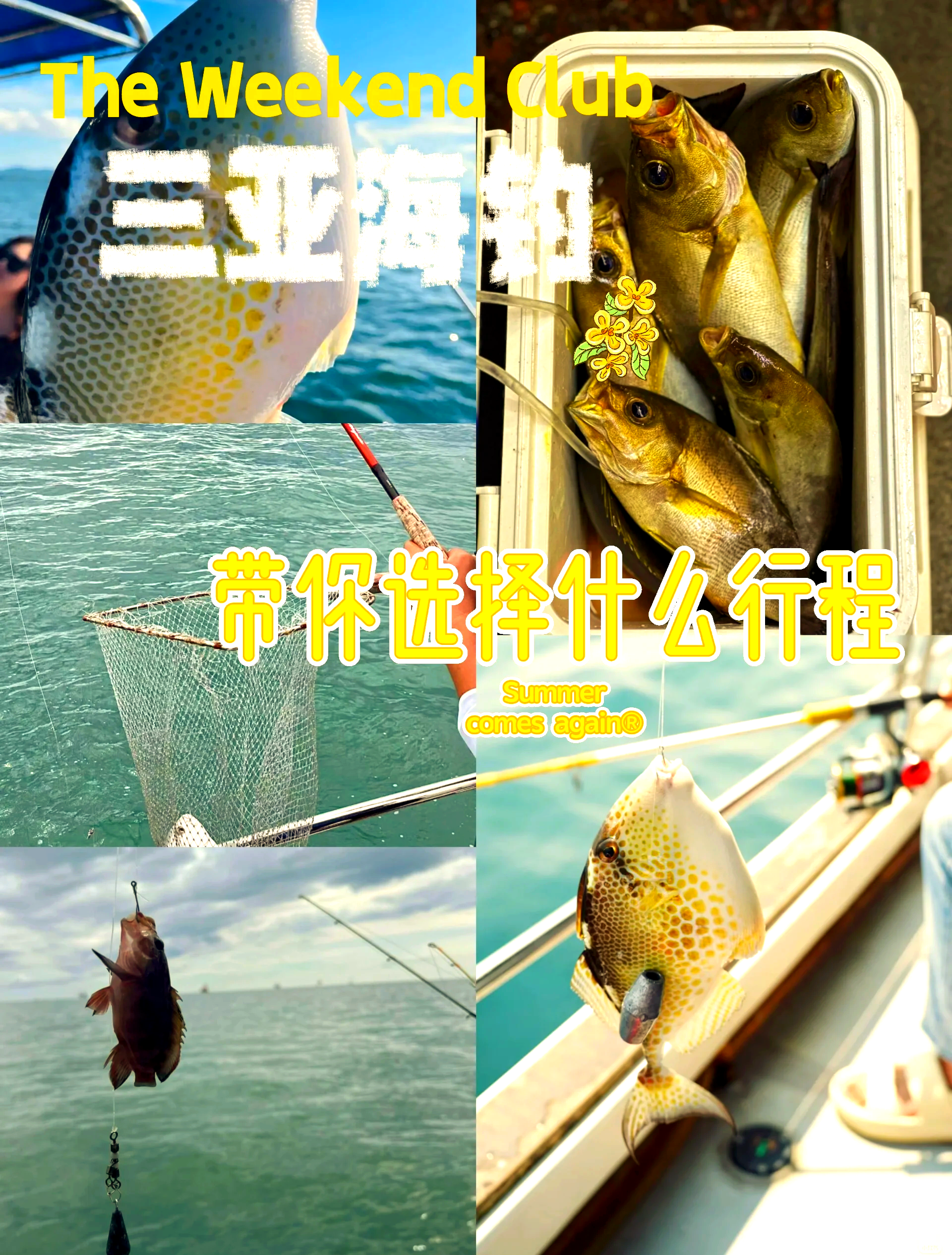 大亚湾哪海钓好(大亚湾可以钓鱼的水库)