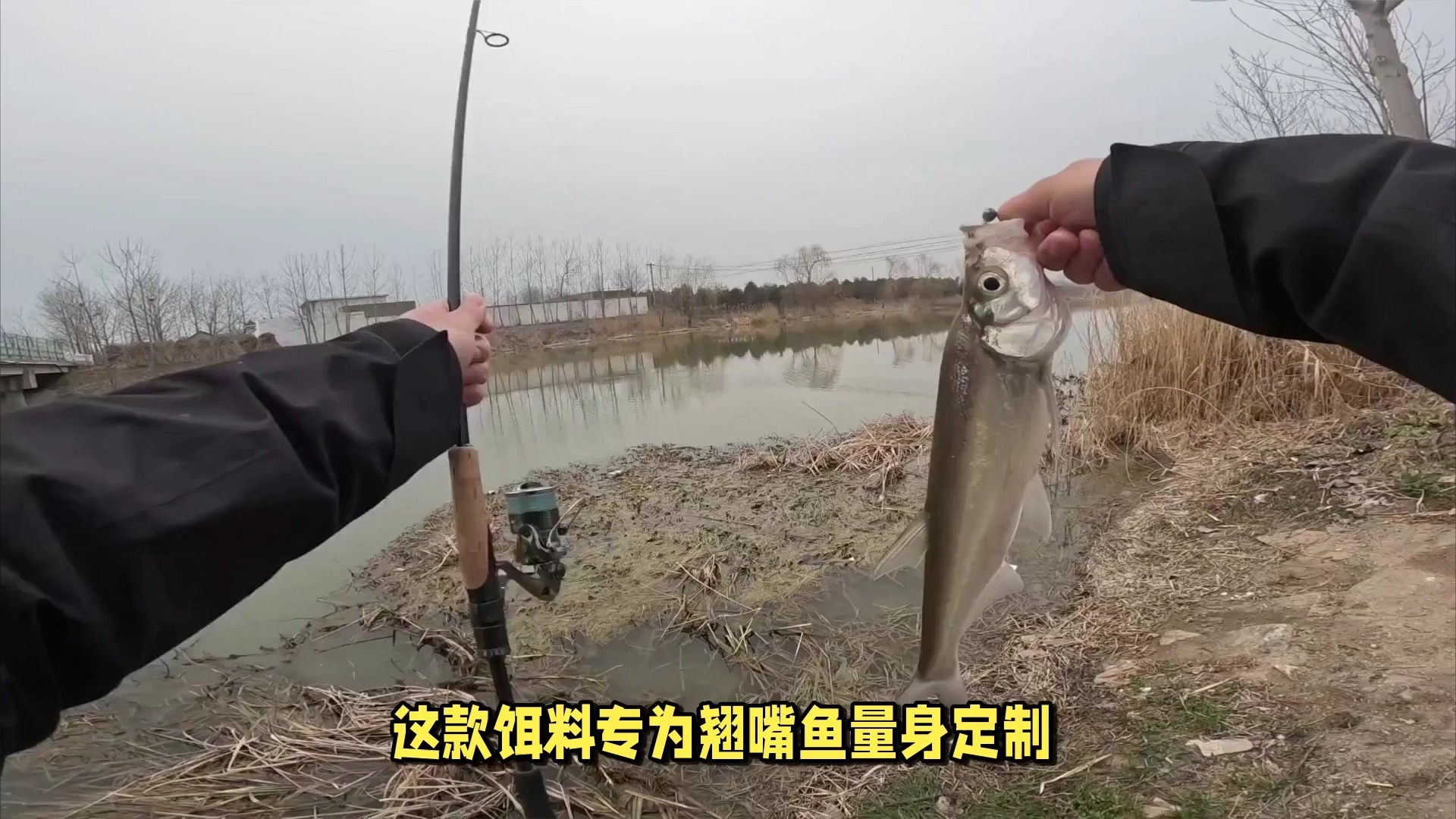 钓鱼小白条技巧(怎样专钓小白条鱼)