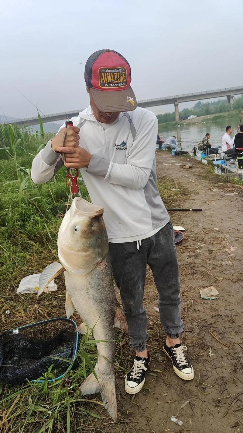 冬季钓鲢鳙技巧(冬季钓鲢鳙技巧分享)