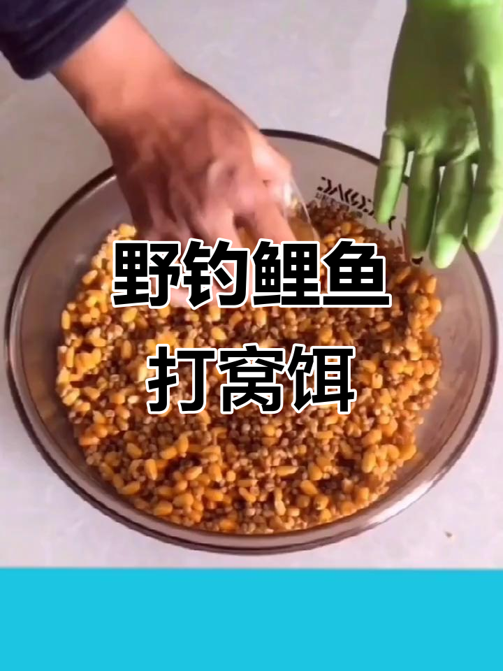 野掉鲤鱼自制饵料(野钓鲤鱼用饵料怎么调漂)