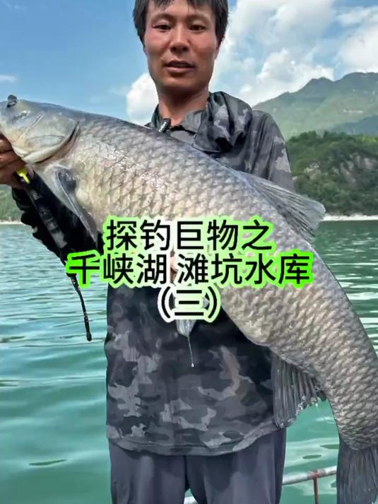 水库手竿钓巨物技巧(水库手竿钓巨物技巧和方法)