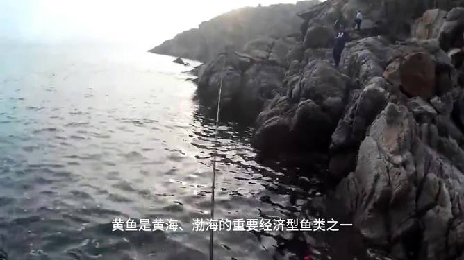 沉船钓黑黄鱼技巧(沉船钓法)