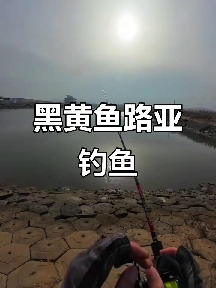 沉船钓黑黄鱼技巧(沉船钓法)