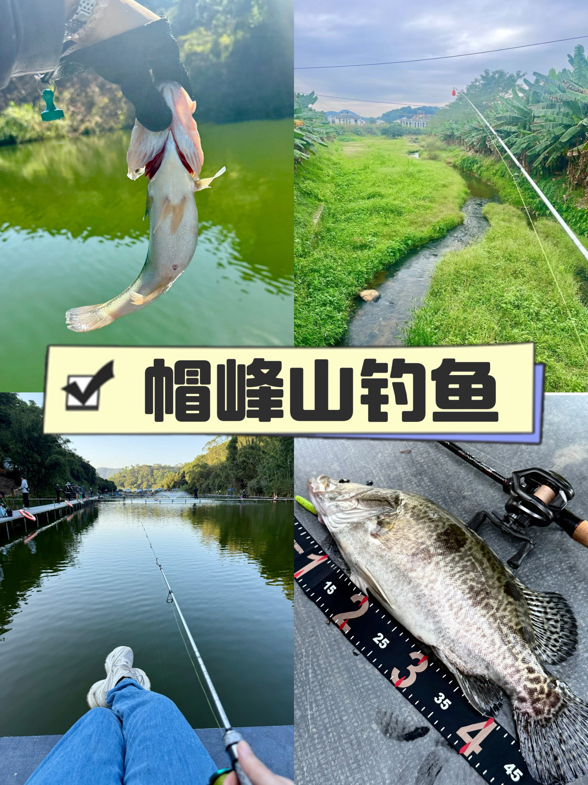 富春江路亚钓点(富春江哪里可以路亚)