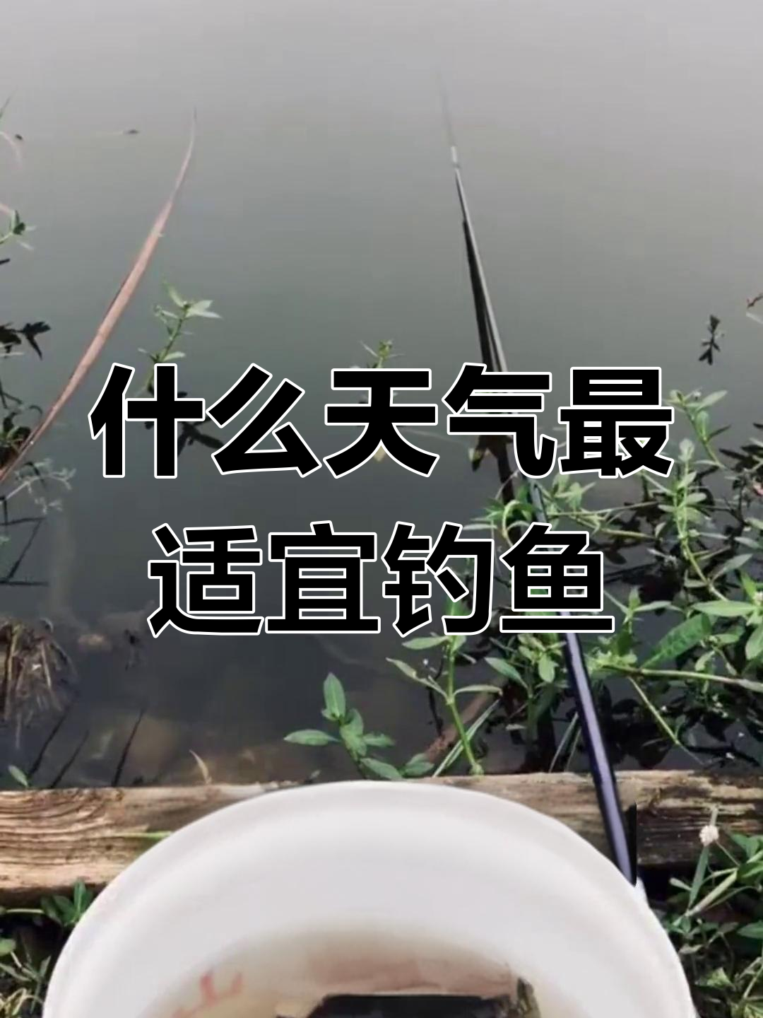 降温天气钓鱼技巧(降温天气钓鱼技巧图解)