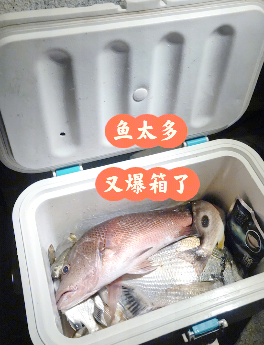 海钓夜钓视频(海钓夜钓视频大全)