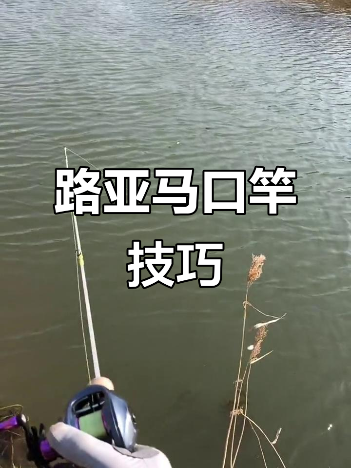 马口抛投技巧(马口ul能抛多远)
