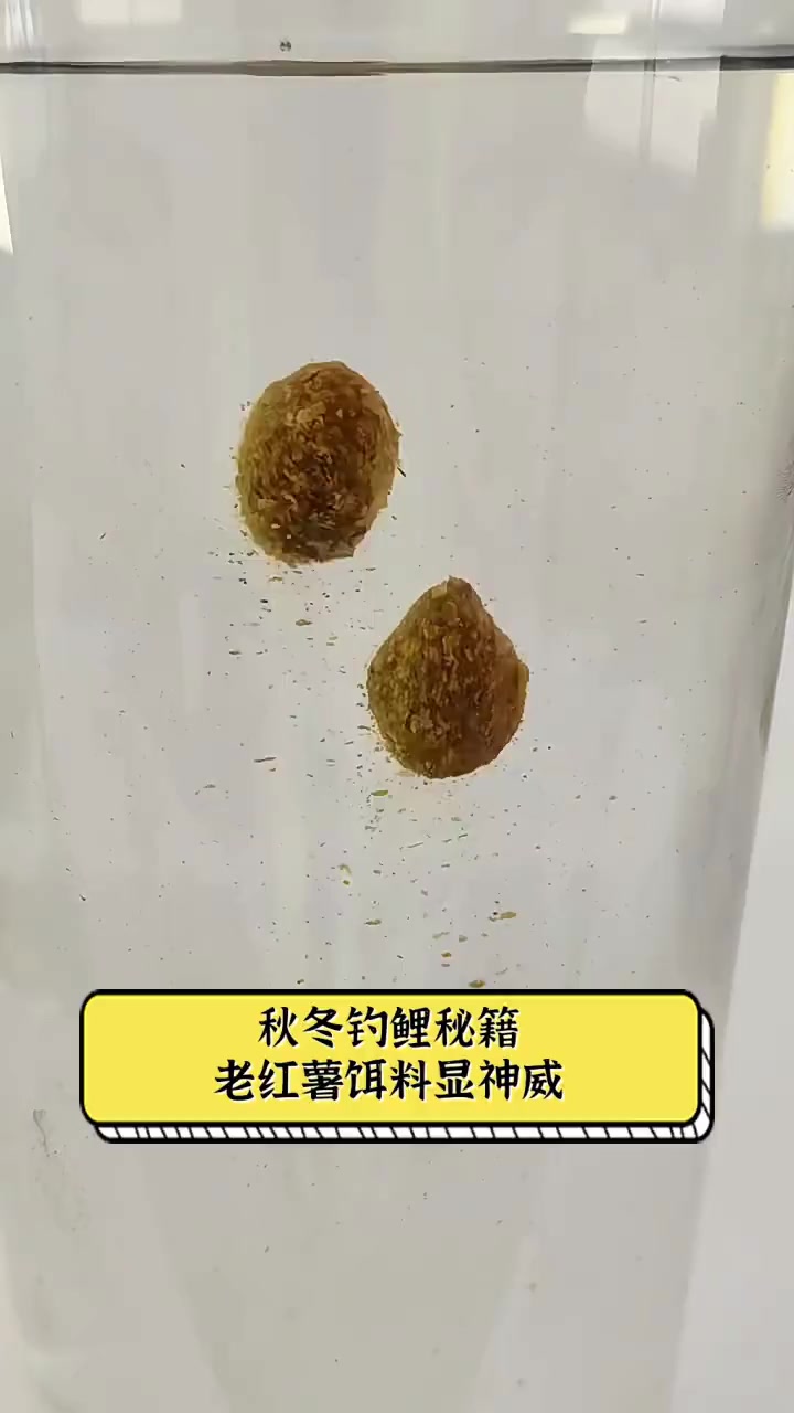 红薯饵料怎么做(红薯做饵料的配方)
