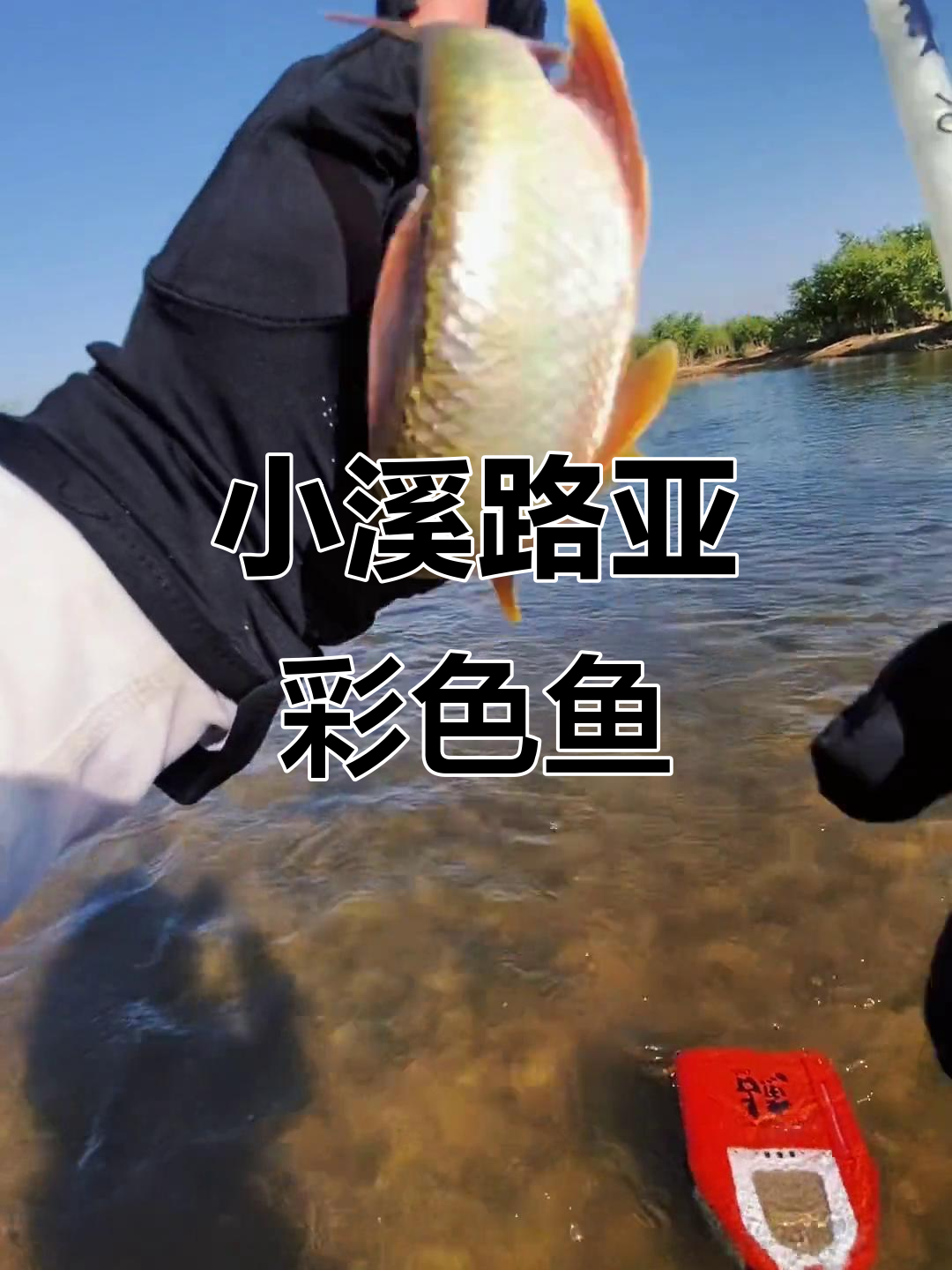 合肥溪流路亚(合肥哪里有路亚基地)