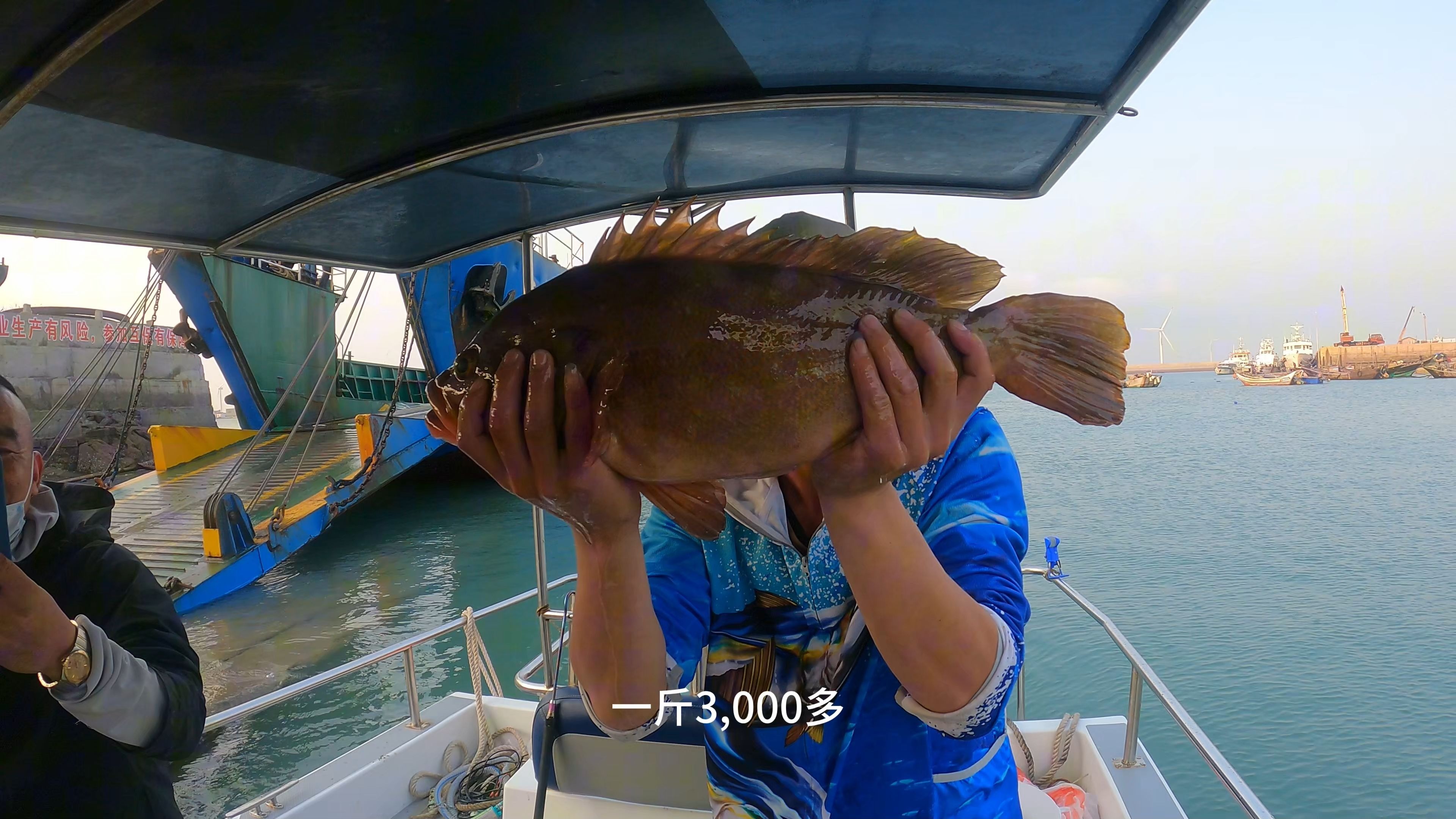 深海钓大鱼视频(深海钓鱼技巧大全)