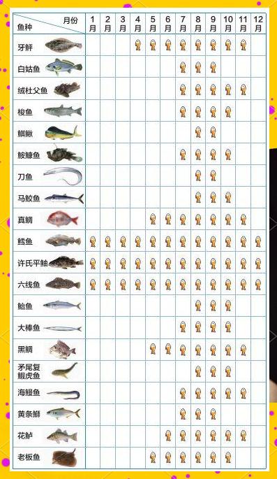 海钓沉底钓钓场选择(海钓沉底钓组图解挂底)