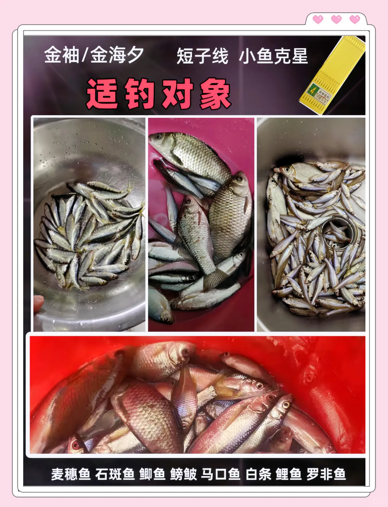 长杆短线钓小鱼技巧(长杆短线钓小鱼技巧视频)