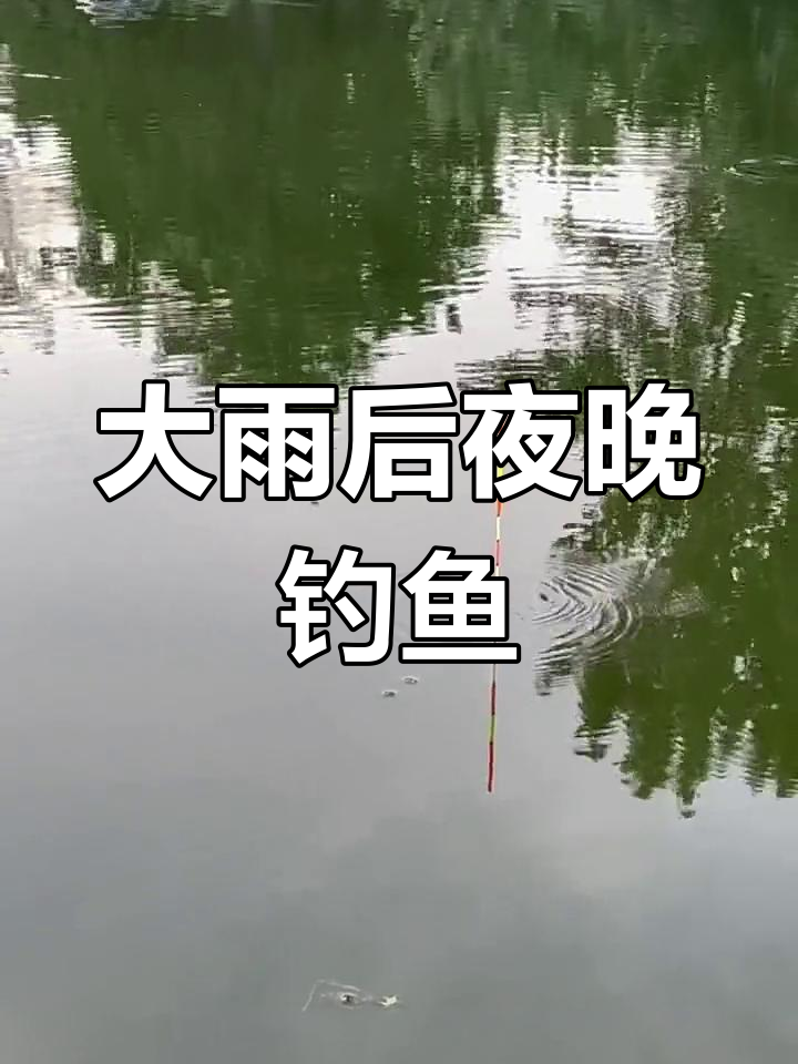 夜钓鲤鱼技巧视频教学(夜钓鲤鱼技巧视频教学大全)