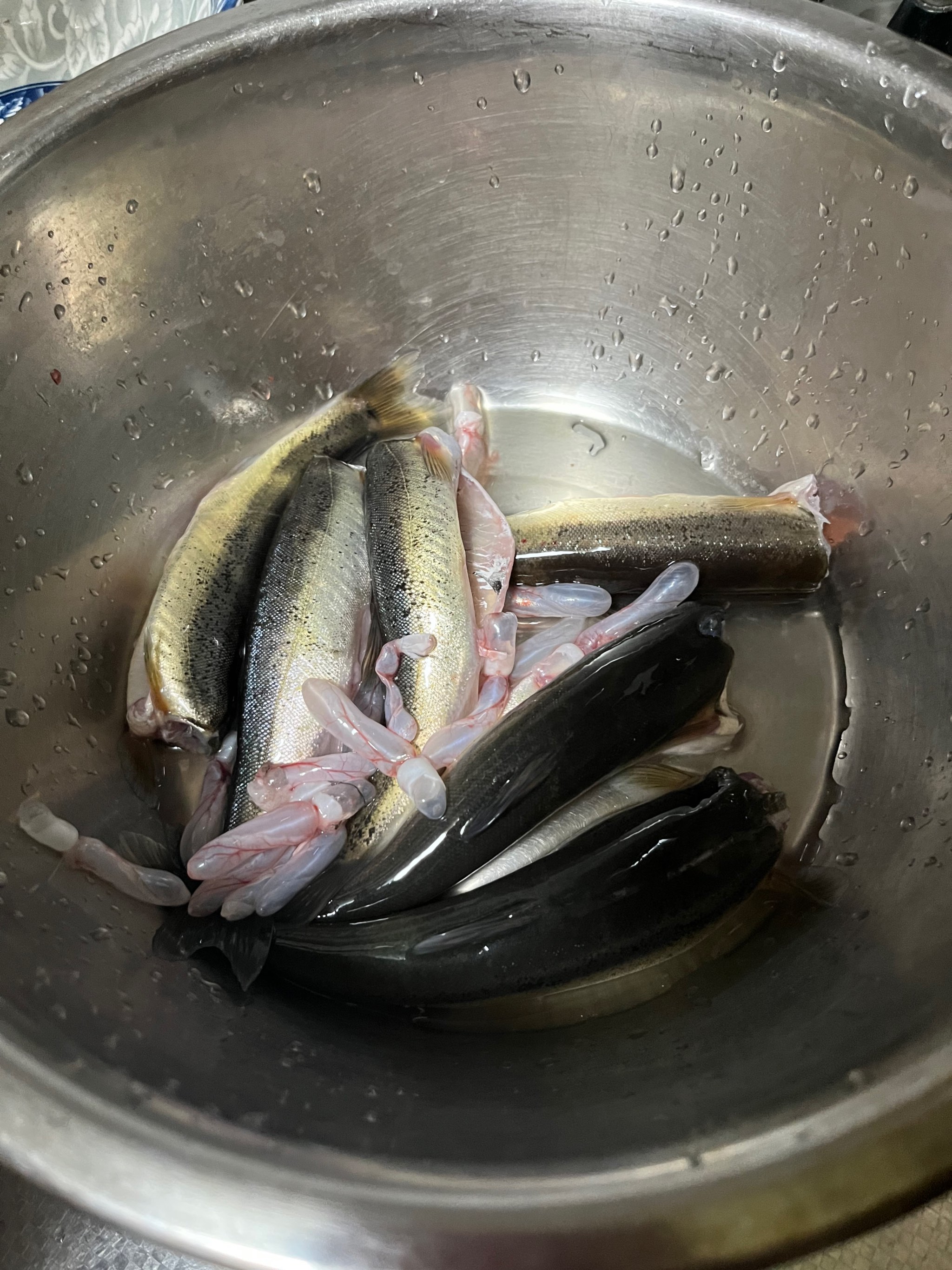 蹦尖钓鱼技巧(蹦竿稍钓法技巧)