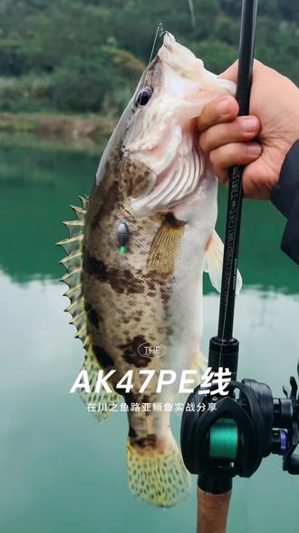 路亚鳜鱼pe推荐(路亚鳜鱼什么牌子pe线好)
