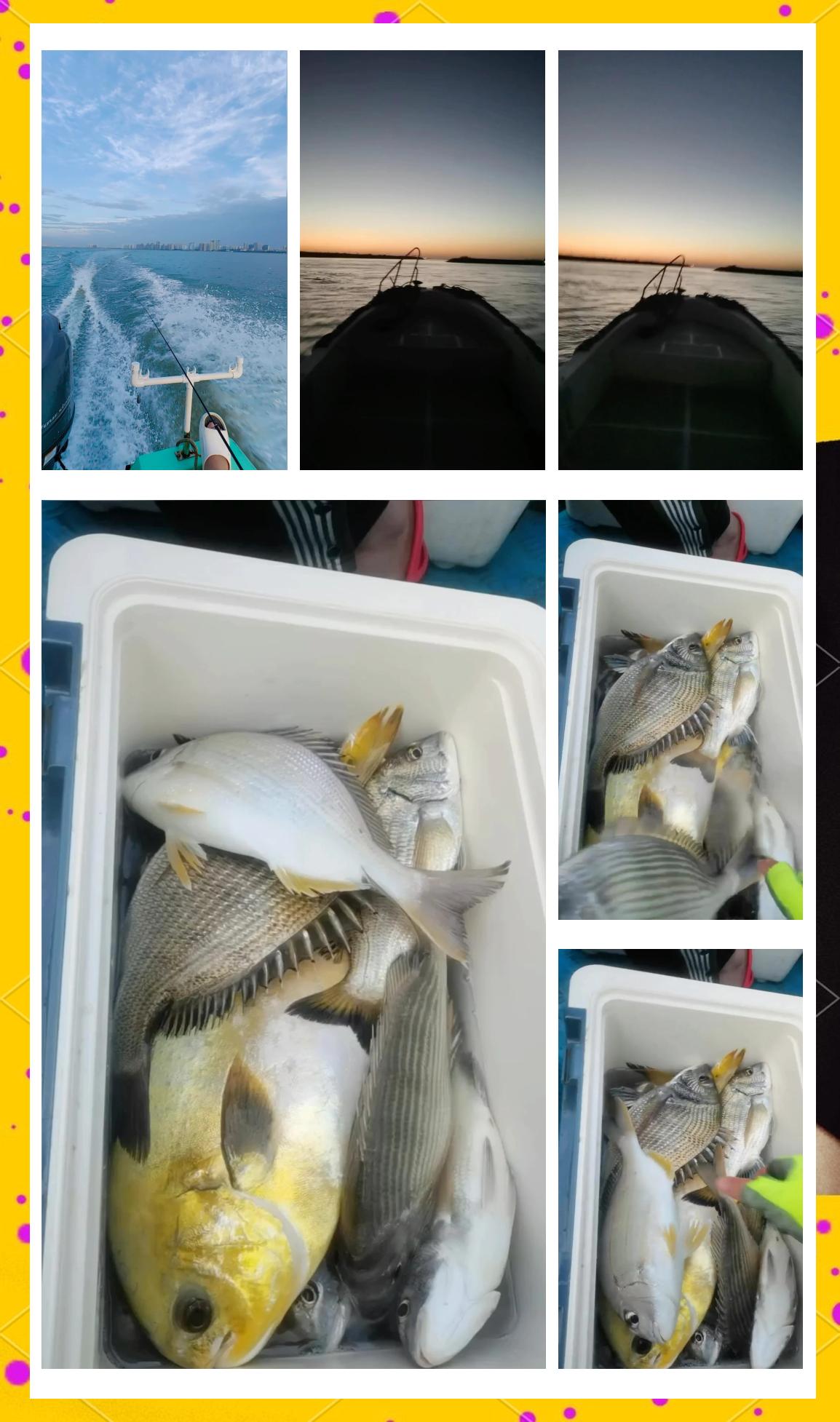 潍坊北海钓鱼最新(潍坊北海钓鱼最新消息)
