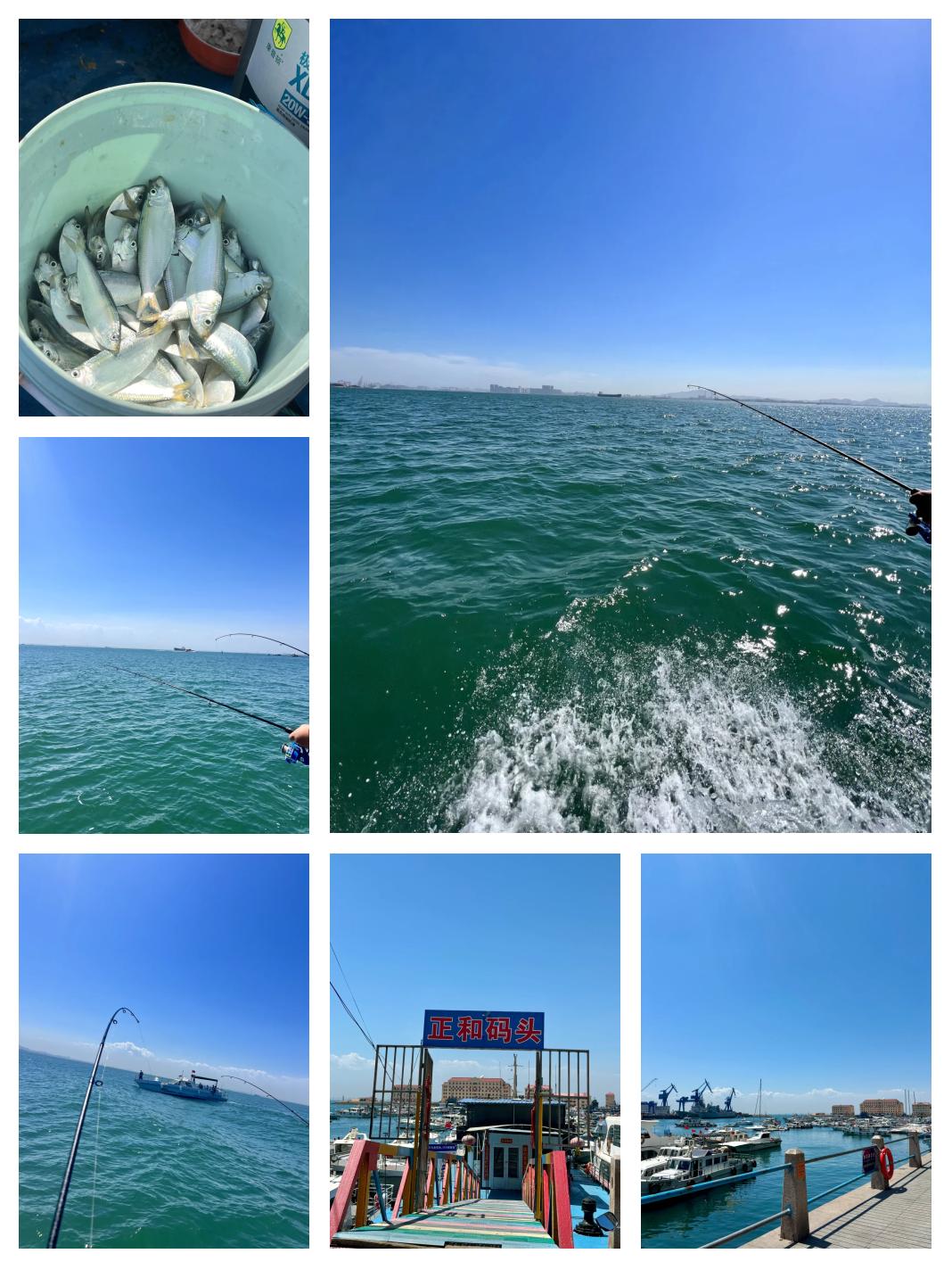 潍坊北海钓鱼最新(潍坊北海钓鱼最新消息)