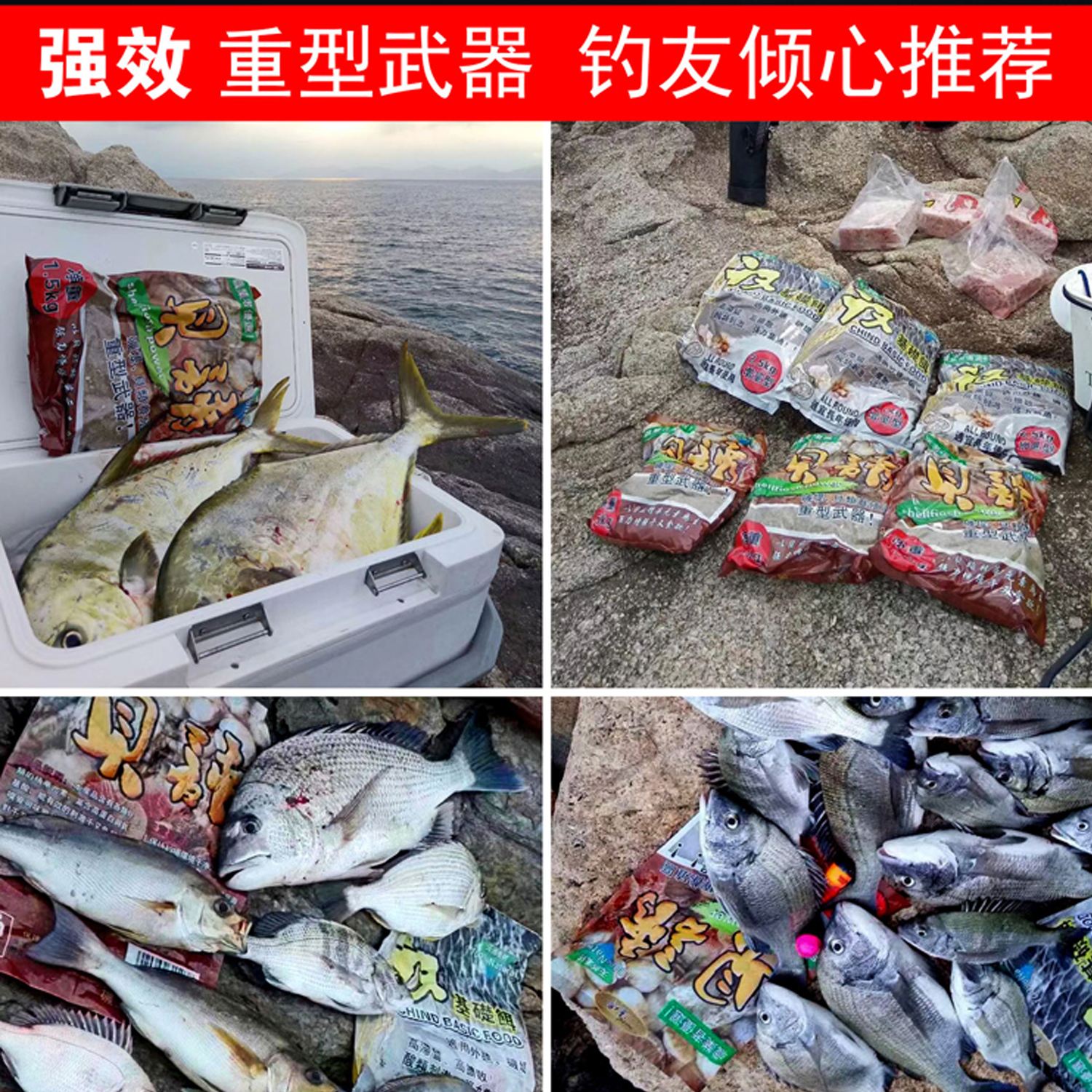 海钓窝料图片(海钓窝料图片大全)