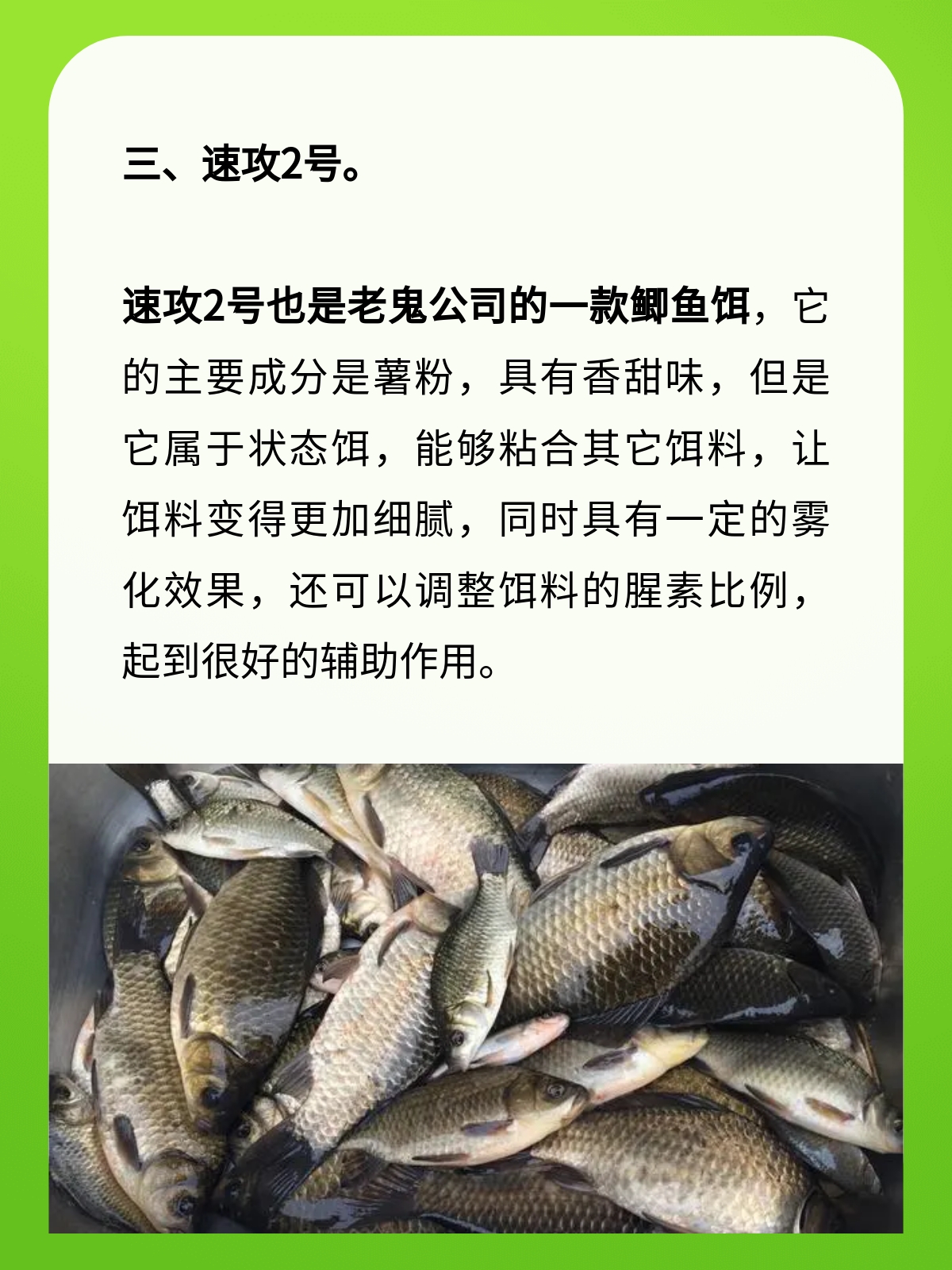 夏季鲫鱼商品饵料配方(夏季最好用的鲫鱼饵料配方)
