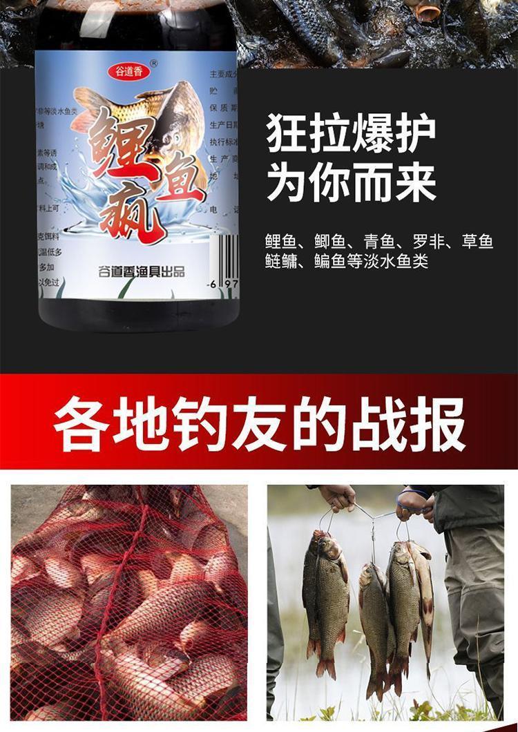 鲤鱼胶丸饵料(鲤鱼的鱼鳔能做鱼胶吗)