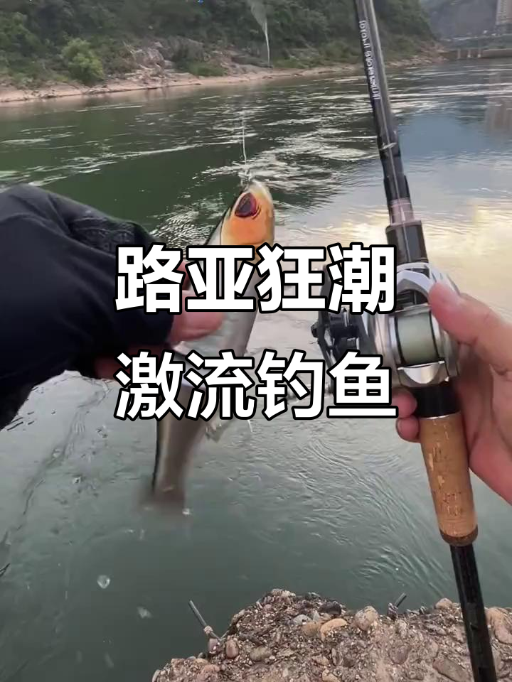 路亚长江浑水急流(长江涨水浑水路亚鳜鱼)