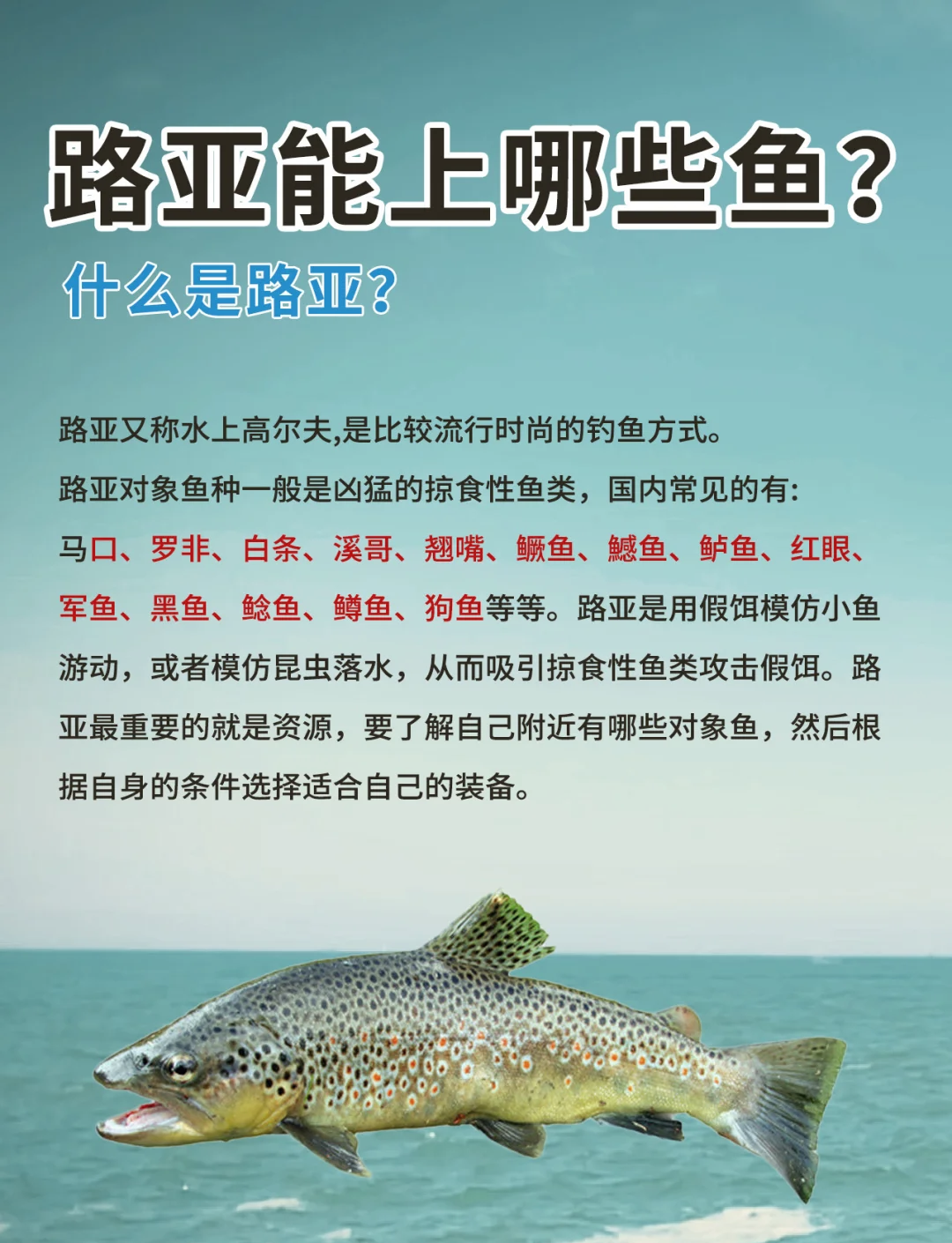 路亚战报(路亚比赛2020视频)