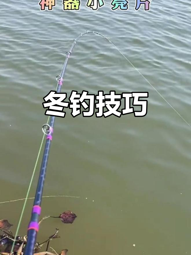 湖库钓翘嘴技巧(湖库钓翘嘴用什么饵)