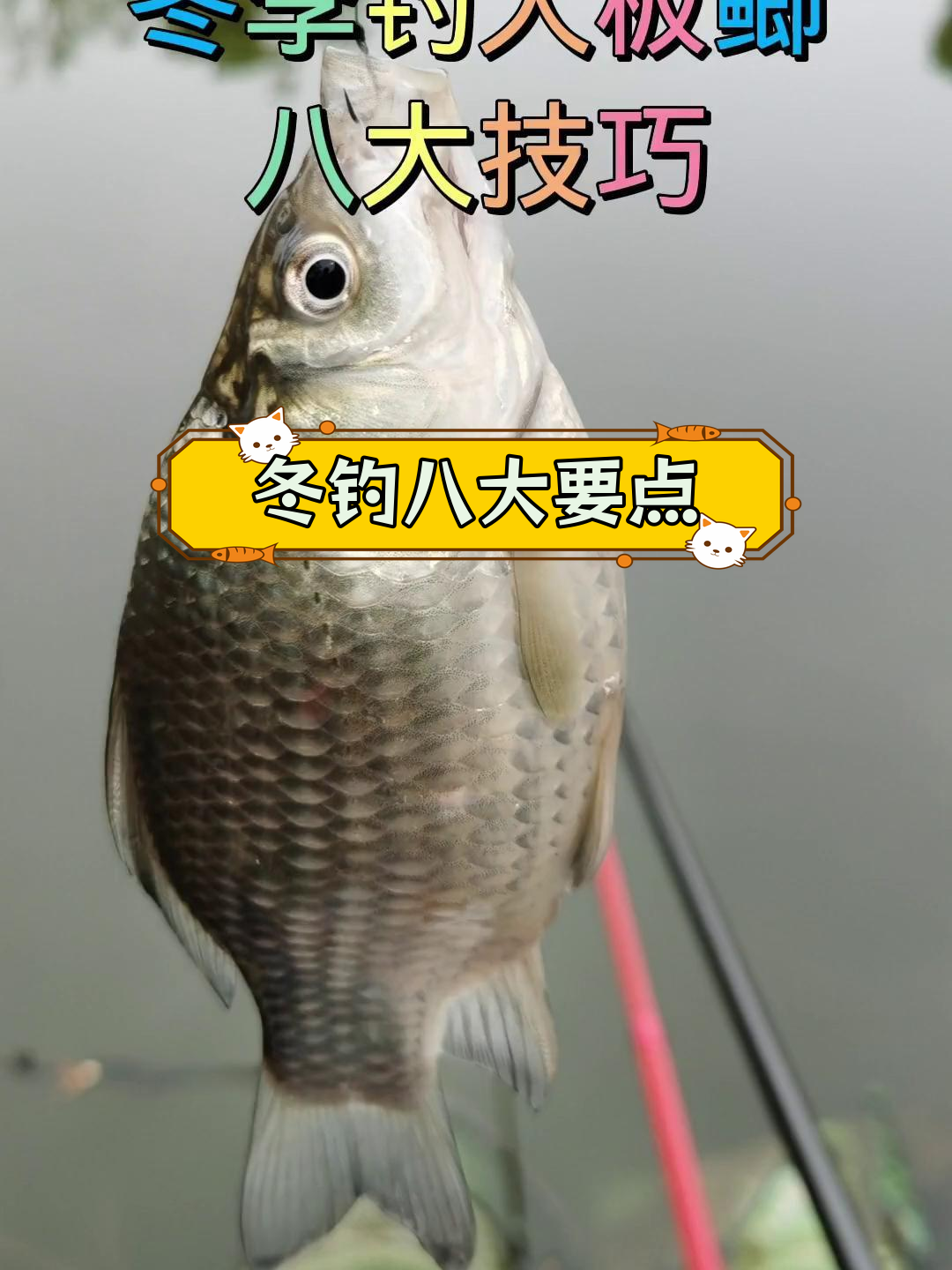 冬季11月钓鱼技巧(冬季11月钓鱼技巧图解)