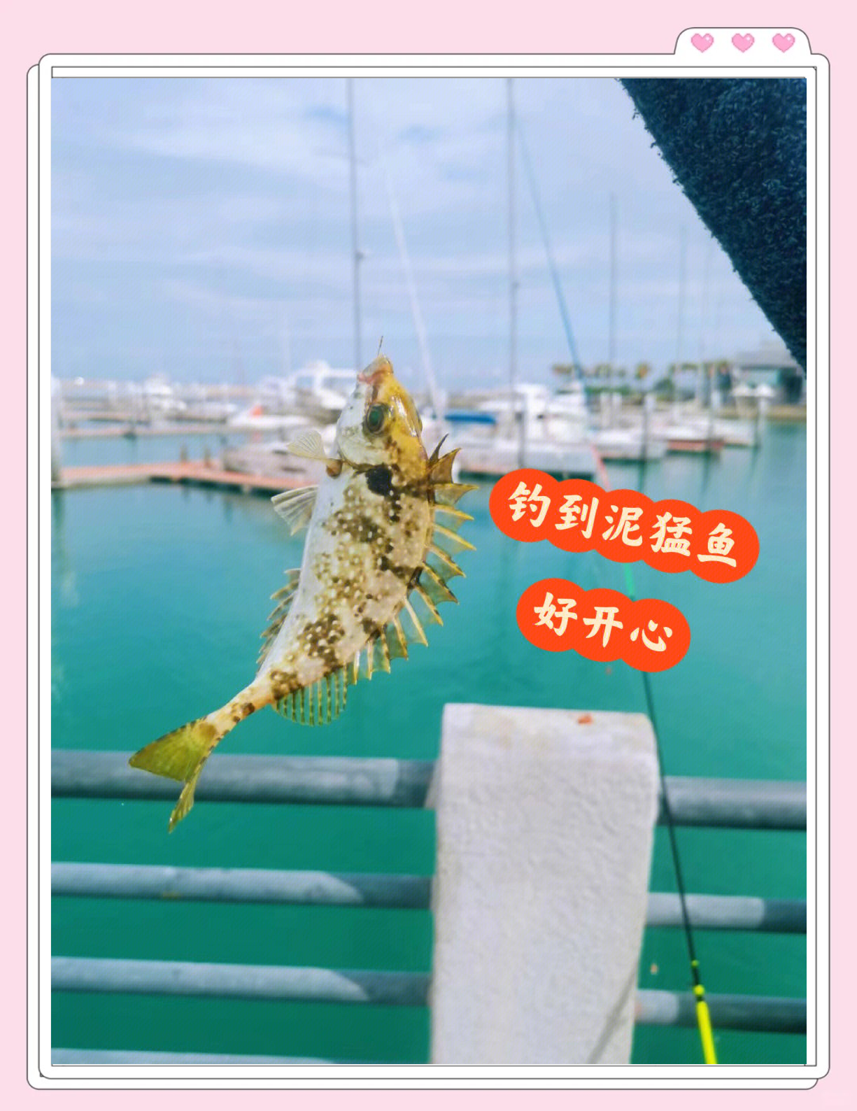 深圳葵涌海钓(葵涌哪里可以海钓)