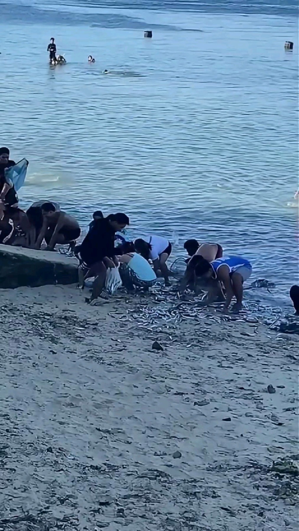 抓鱼的方法技巧视频的简单介绍