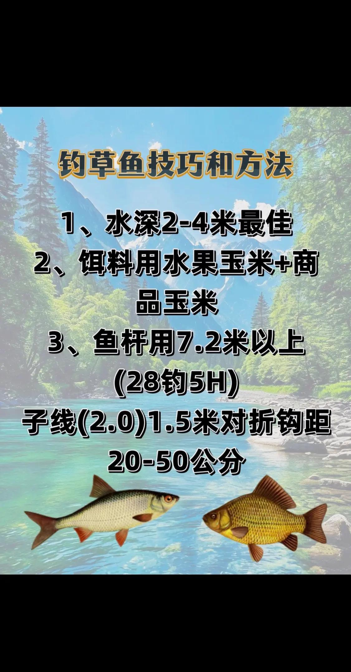 晚上钩草鱼技巧视频(晚上钓草鱼的方法和技巧)