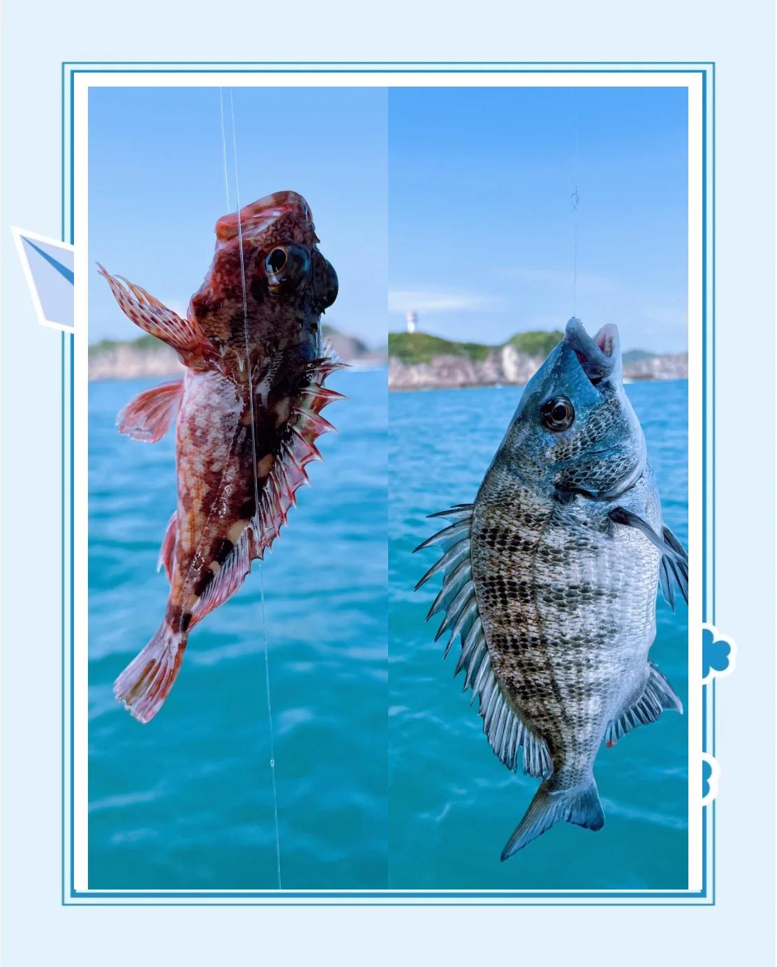码头沉底海钓技巧(码头海钓多少米的竿合适)