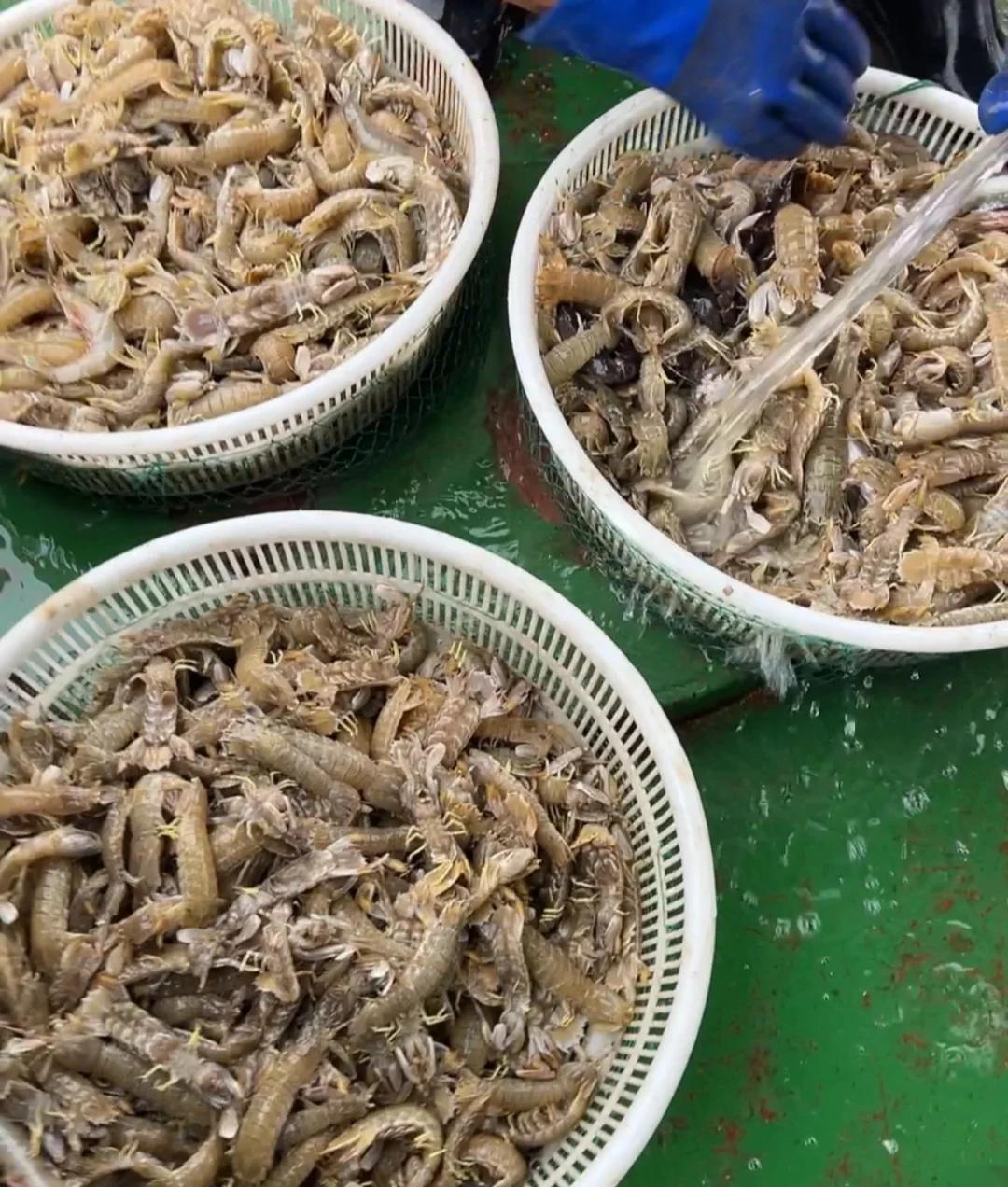 天津收费海钓点(天津海钓鱼最佳地点)