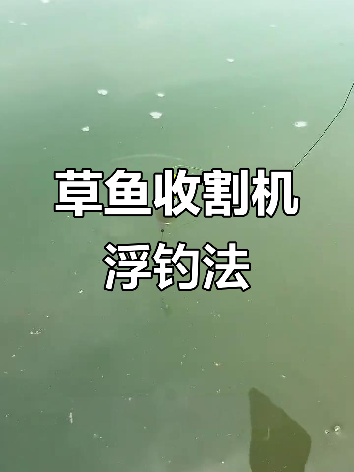 钓草鱼浮钓技巧(钓草鱼浮钓技巧和方法)