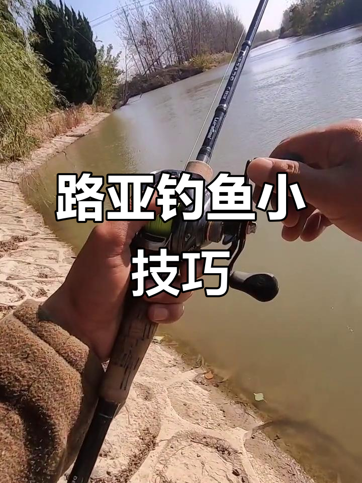 路亚钓鲈鱼技巧(路亚钓鲈鱼技巧口诀)