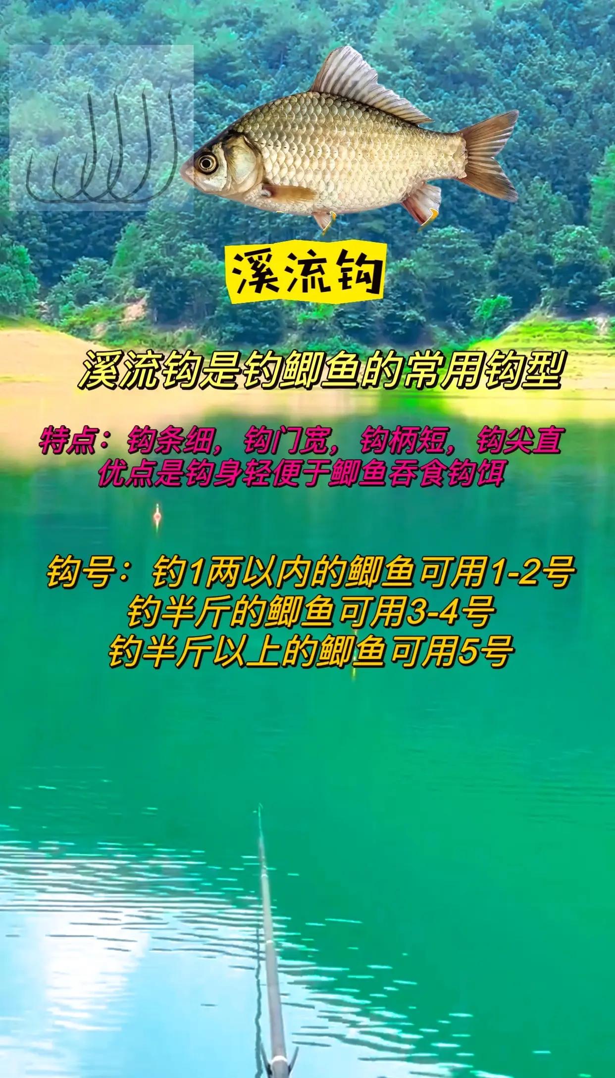 初伏钓鲫鱼技巧(初春钓鲫鱼怎么配饵料)