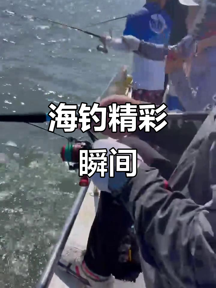 海钓钓鱼节目(海钓钓鱼节目有哪些)