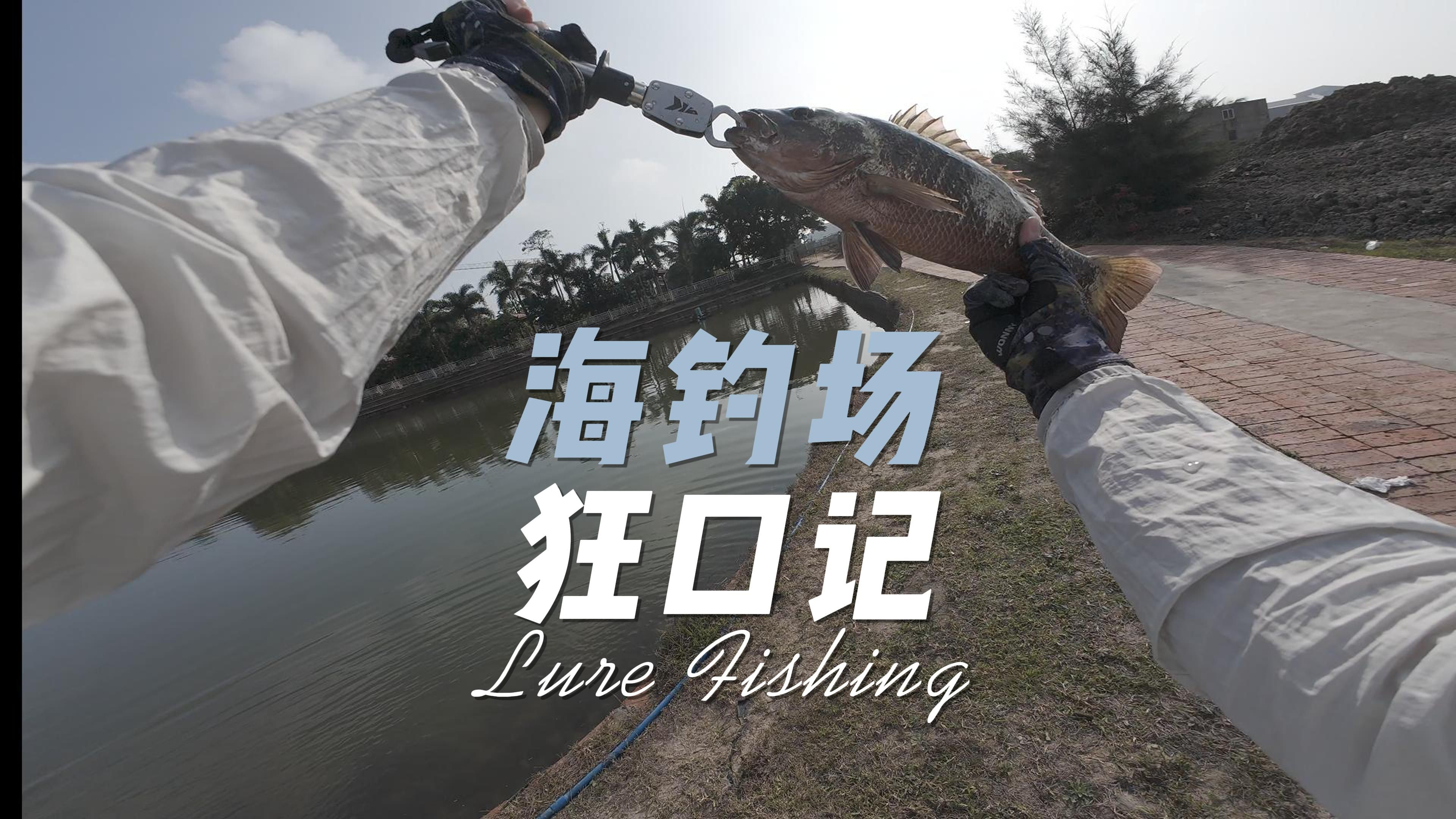 海钓小鱼技巧(海钓小鱼技巧图解)