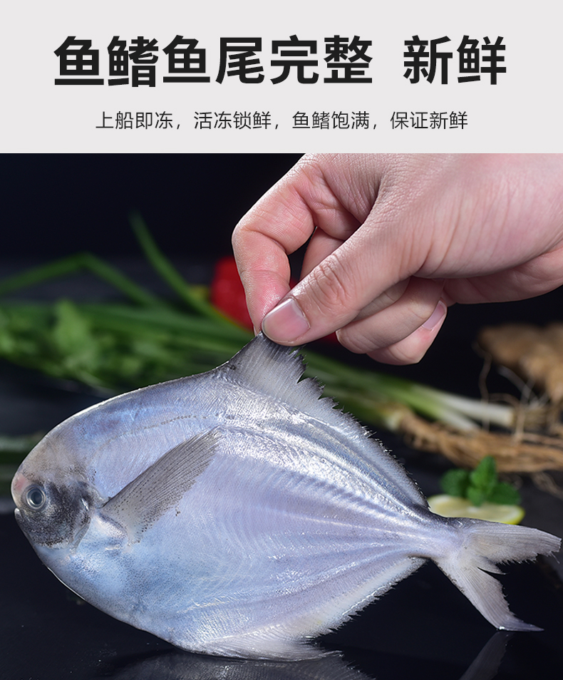 海钓银鲳鱼钓法(海捕银鲳鱼怎么做好吃)