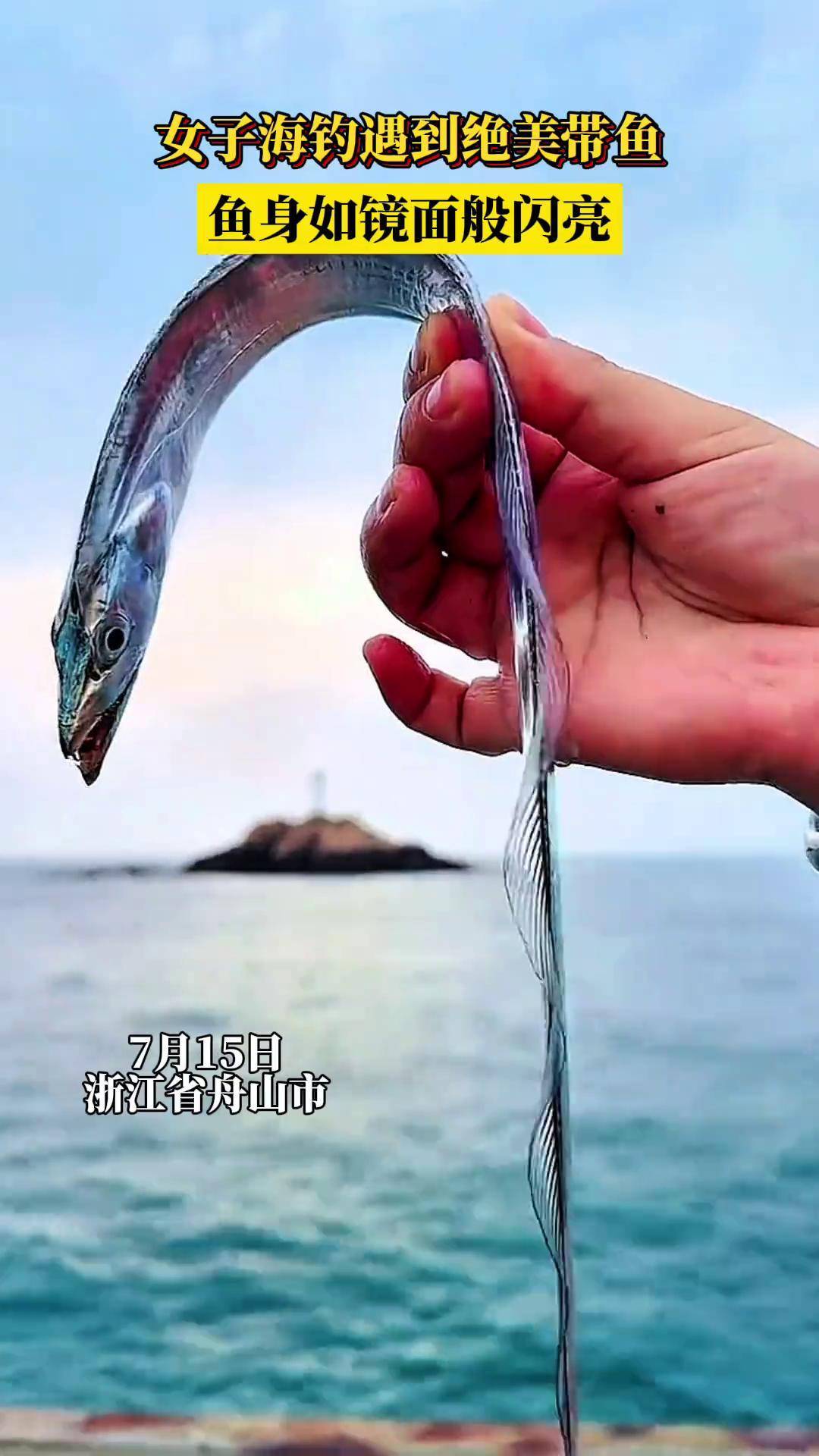 夜晚海钓什么鱼(夜间海钓能钓到什么鱼)