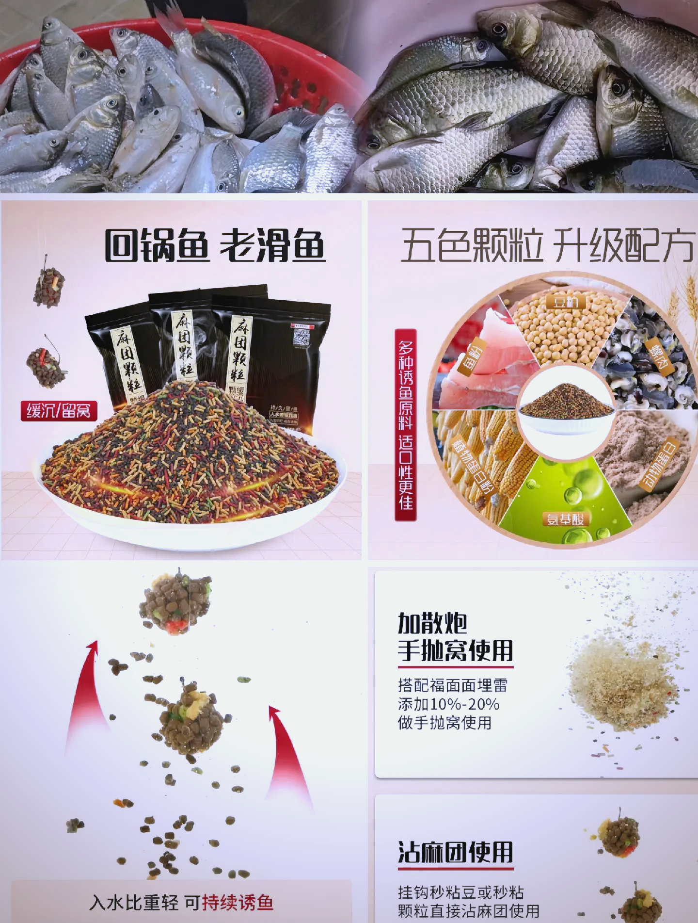 钓鲤鱼麻团饵料配方(钓鲤鱼麻团饵料配方视频)