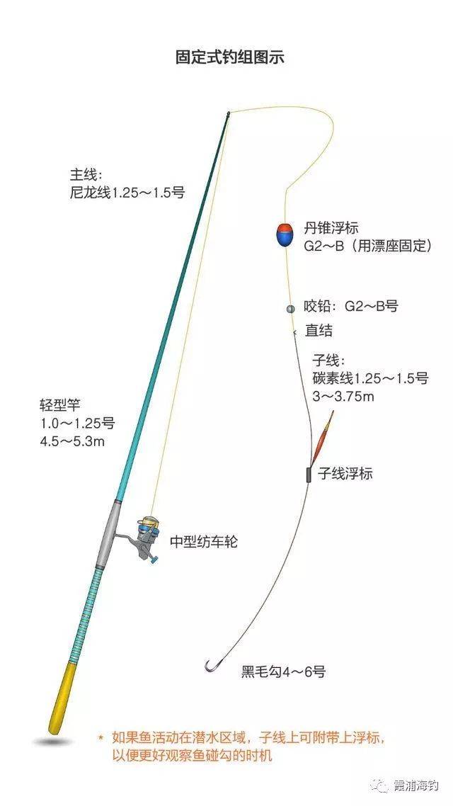 海钓浮漂钓钓组(海钓鱼漂如何使用)
