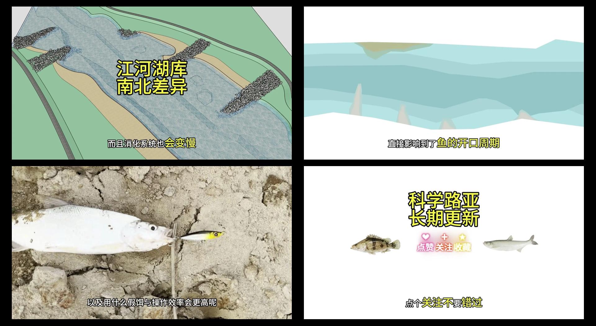 路亚小翘嘴鱼的钓法(路亚小翘嘴什么饵最合适)