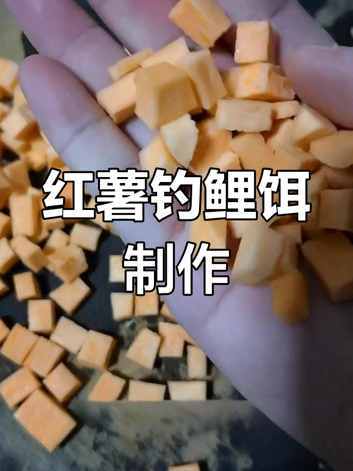 自制白鲫饵料配方(白鲫用什么商品饵钓好)